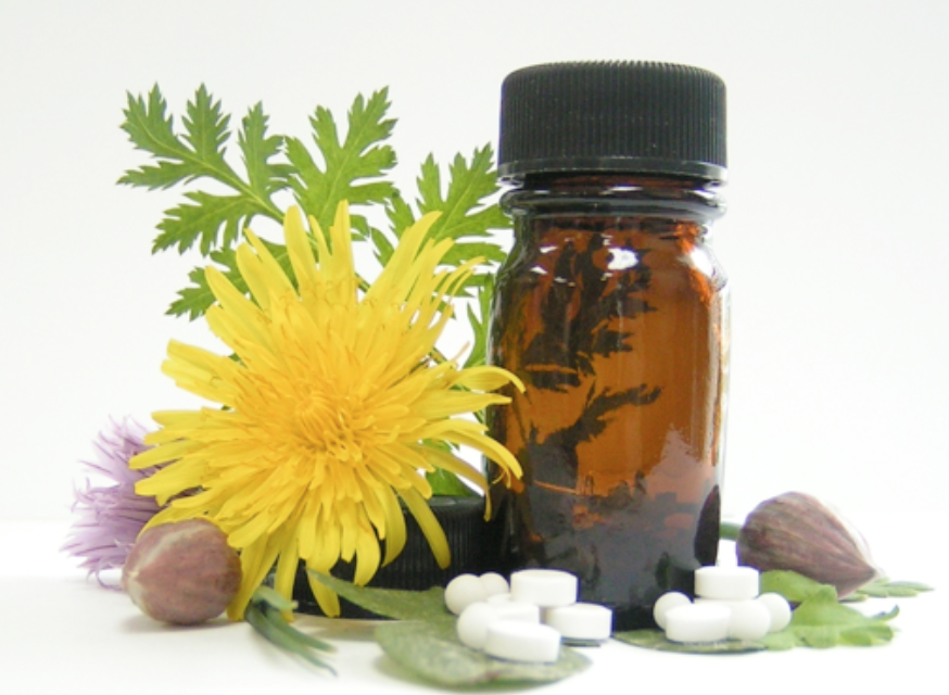 Homeopathic first aid courses Linda Shannon, Homeopath